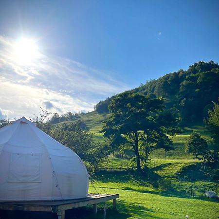 Flore'S Garden Glamping Bran  Luaran gambar