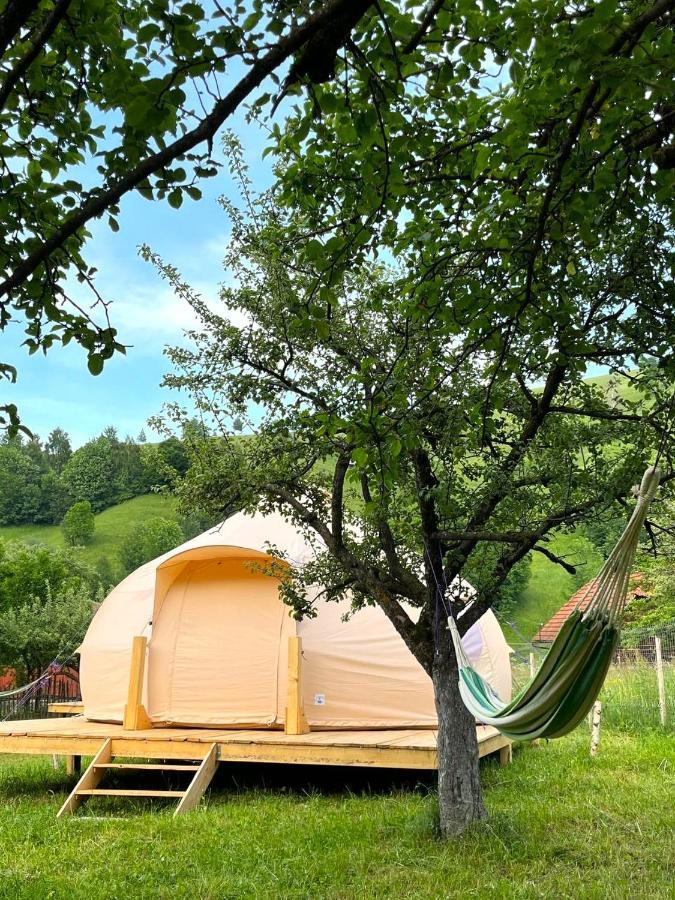 Flore'S Garden Glamping Bran  Luaran gambar