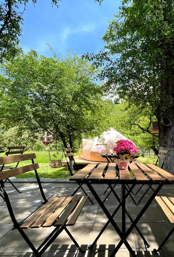 Flore'S Garden Glamping Bran  Luaran gambar
