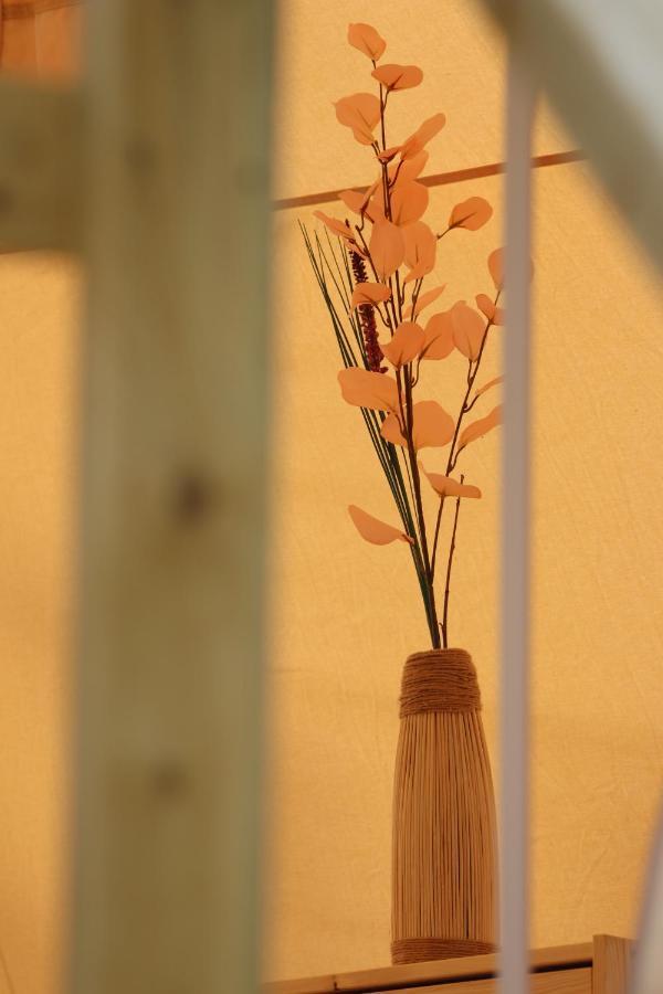 Flore'S Garden Glamping Bran  Luaran gambar