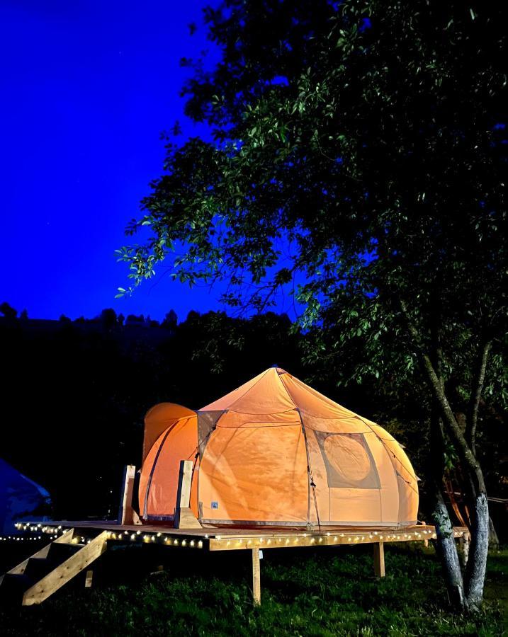 Flore'S Garden Glamping Bran  Luaran gambar
