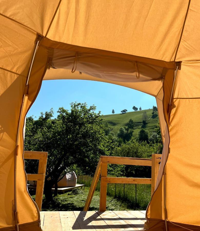 Flore'S Garden Glamping Bran  Luaran gambar