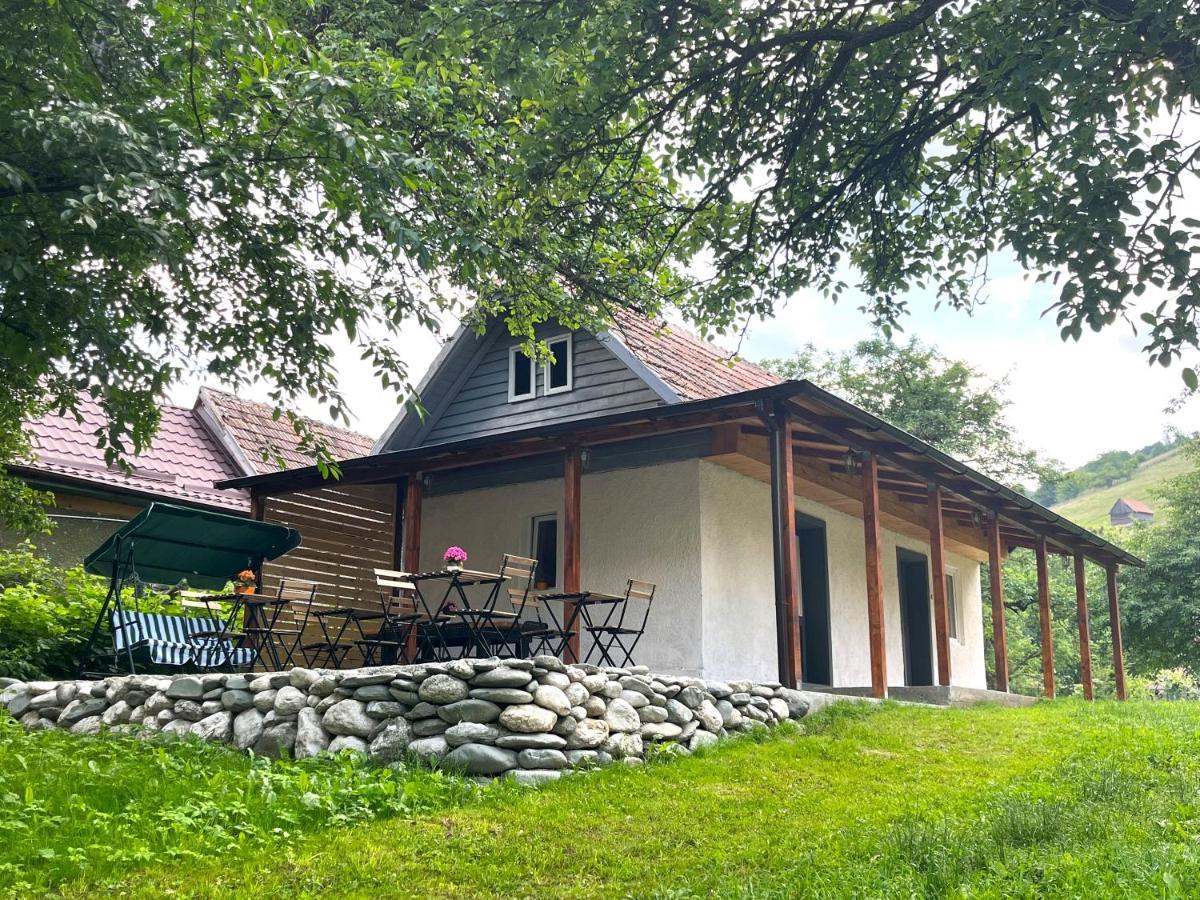 Flore'S Garden Glamping Bran  Luaran gambar