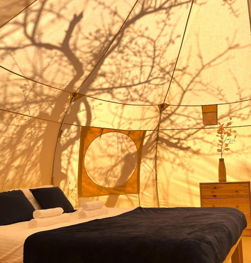 Flore'S Garden Glamping Bran  Luaran gambar