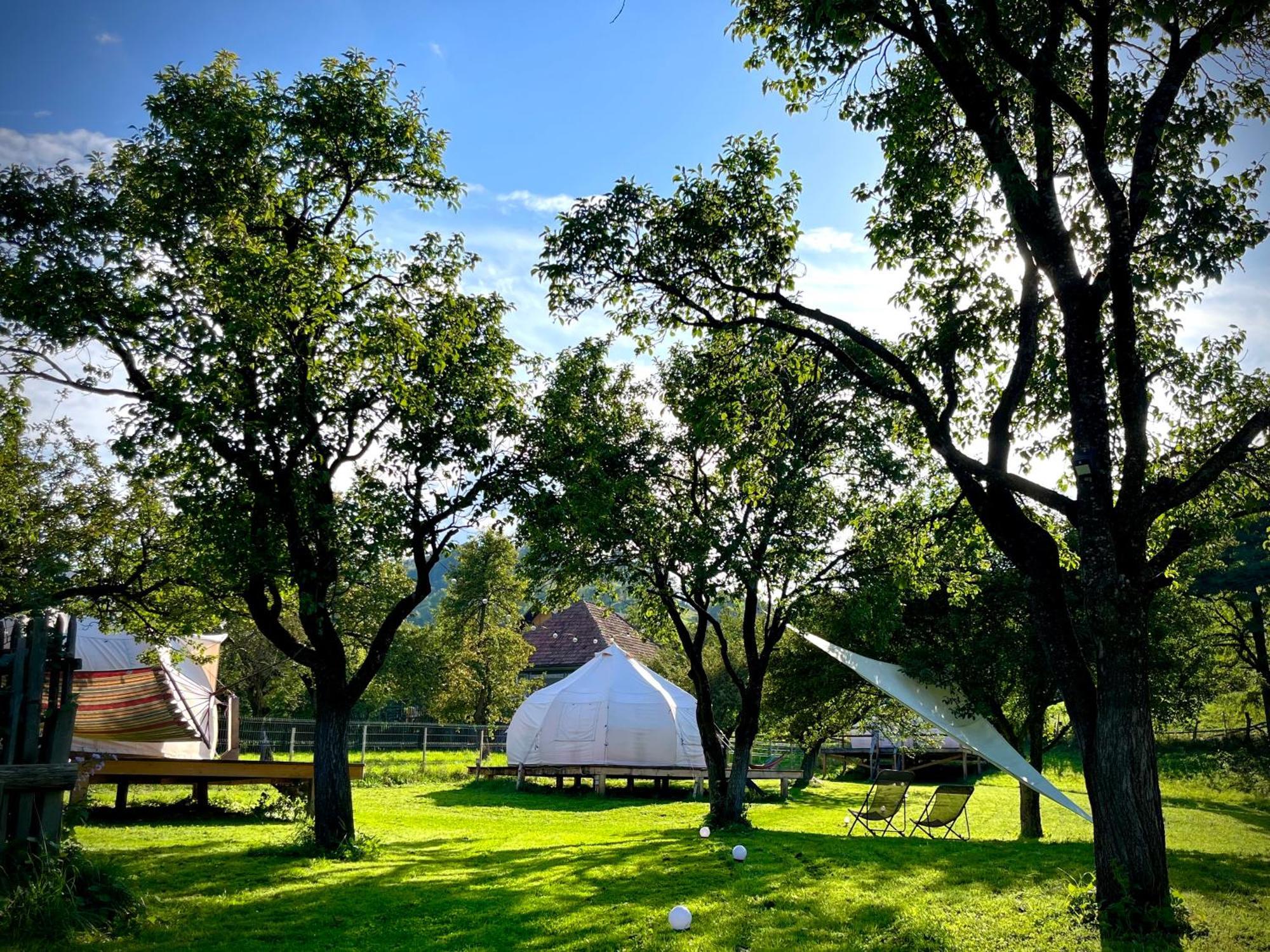 Flore'S Garden Glamping Bran  Luaran gambar