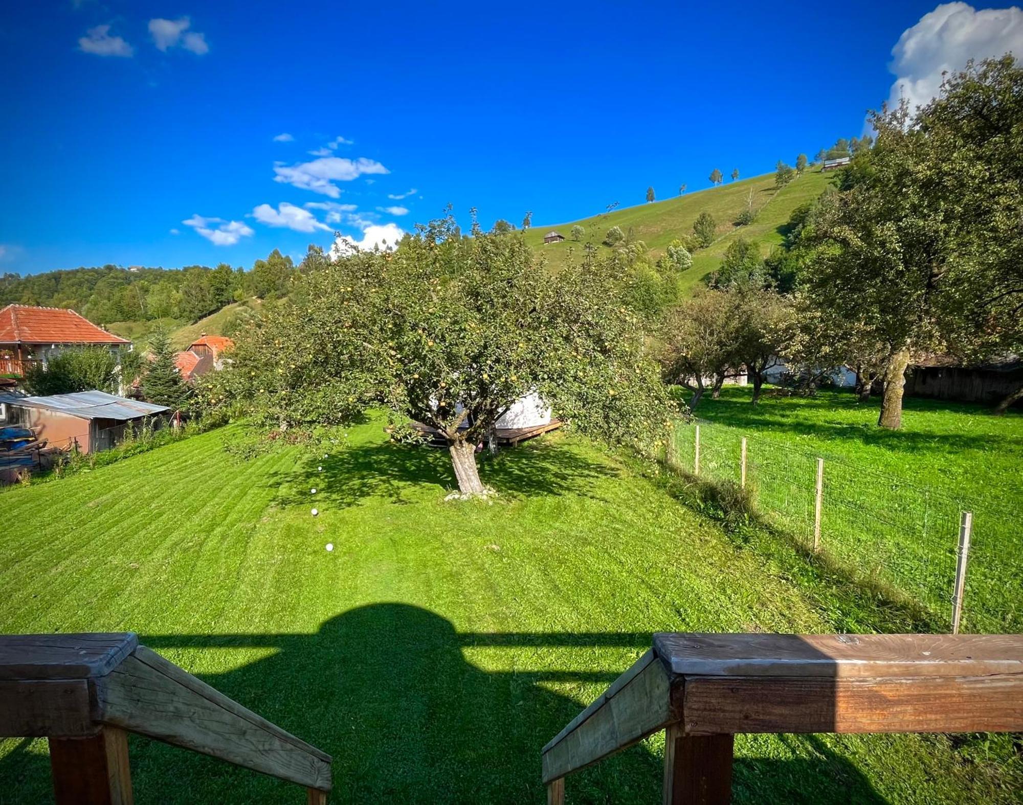 Flore'S Garden Glamping Bran  Luaran gambar